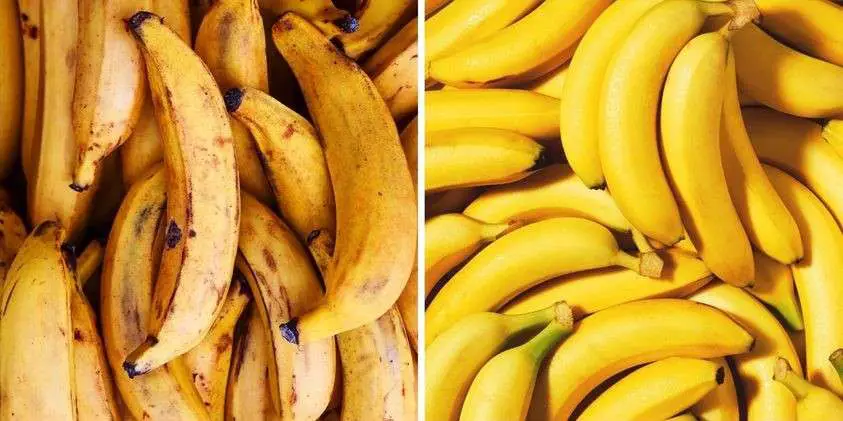 Discover the Joy of Bananas A Daily Dose of Delicious Benefits!