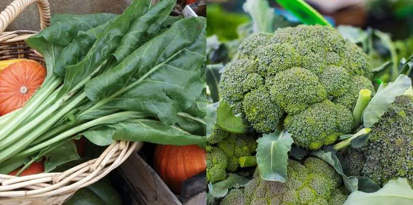 The 3 Healthiest Vegetables You Need To START EATING!