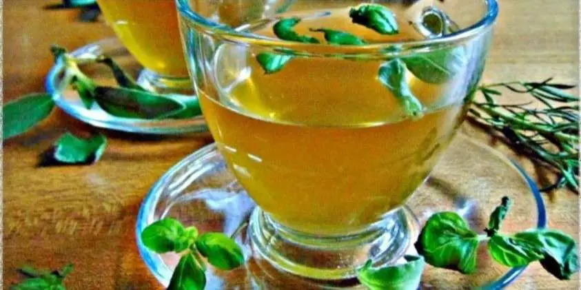 The Healing Brew Basil Tea for Holistic Well-being