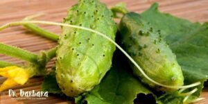 The Ultimate Guide to Growing Exceptional Cucumbers