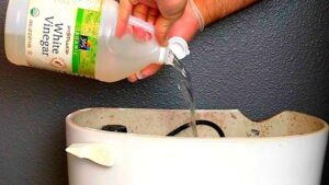 The Ultimate Toilet Cleaning Hack Just Flush and Forget!