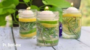 How to make a homemade mosquito repellent with few ingredients