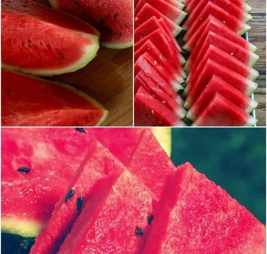 10 Fantastic Reasons to Enjoy Watermelon All Year Round