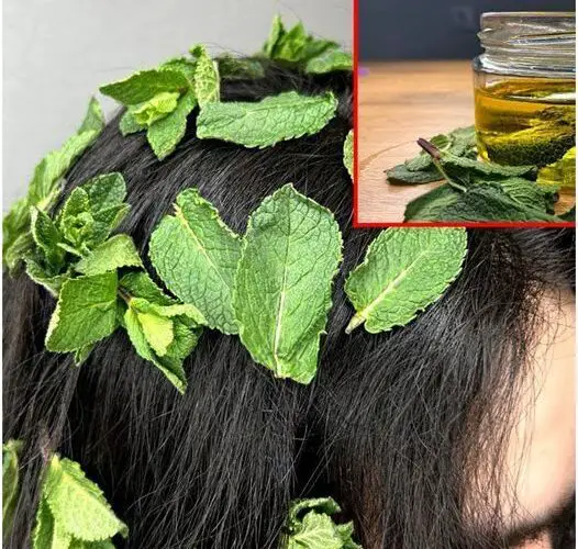 Boost Your Hair Growth with Mint Oil