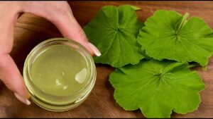 Discover the Secret to Radiant Youthful Skin