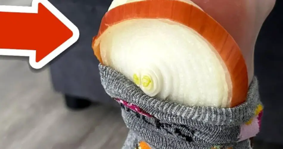 Discover the Ingenious Trick of Putting an Onion in Your Sock