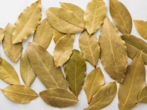 Discover the Wonders of Bay Leaves A Natural Remedy for Everyday Ailments