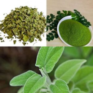 Drink 1 CUP of SAGE Tea Every Day and You Will Not Be Sick