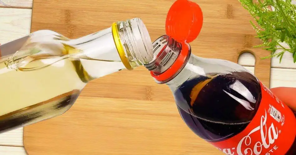 Mix White Vinegar With Coca-Cola And You Won’t Believe What Happens!