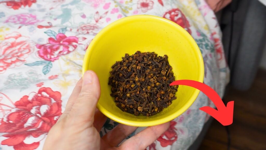 The Surprising Benefits of Placing Cloves Under Your Bed Dr. Barbarba