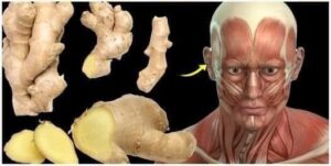 Unlocking the Potential of Ginger for Health and Happiness