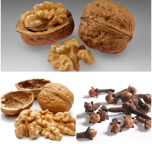 What Happens If You Eat a Handful of Walnuts Every Day