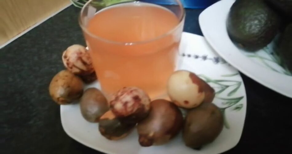 3 Different Ways to Make Avocado Seed Tea and Its Benefits