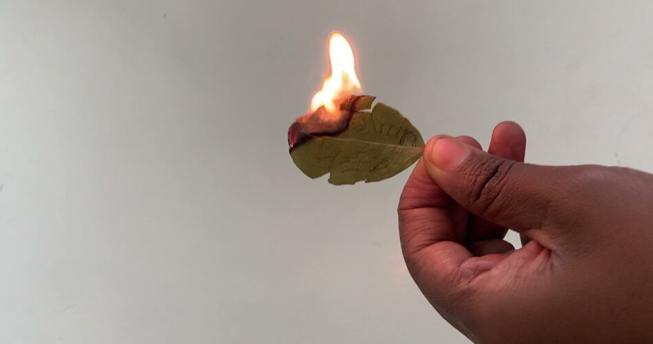 Burn bay leaf in your Room and watch what happen