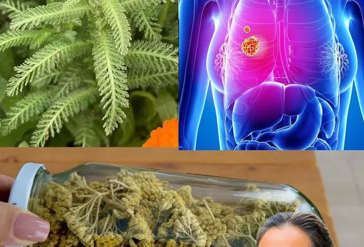 A Complete Guide to Detoxifying Your Body and Lungs Naturally