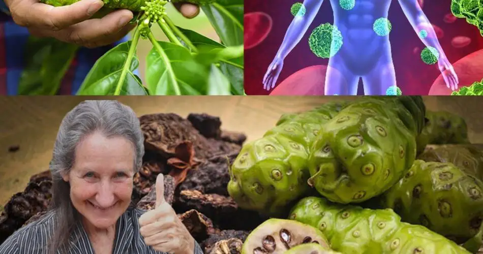 Say Goodbye to Cancer, Swollen Feet, and Diabetes The Natural Remedy You’ve Been Waiting For